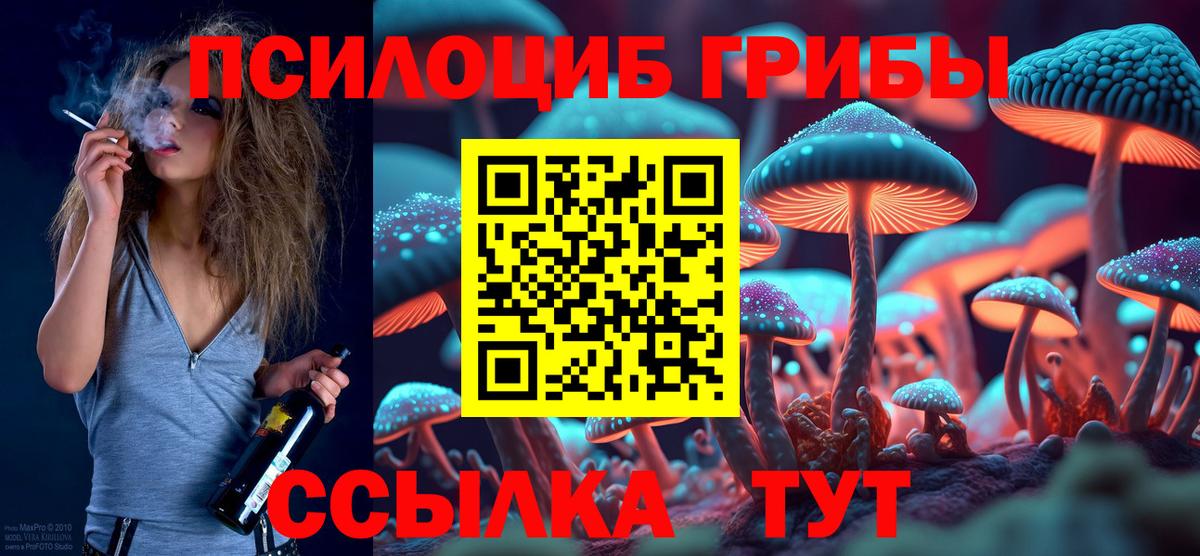 как найти наркотики  Галлюциногенные грибы Psilocybine cubensis  Вход с VPN  Дятьково 